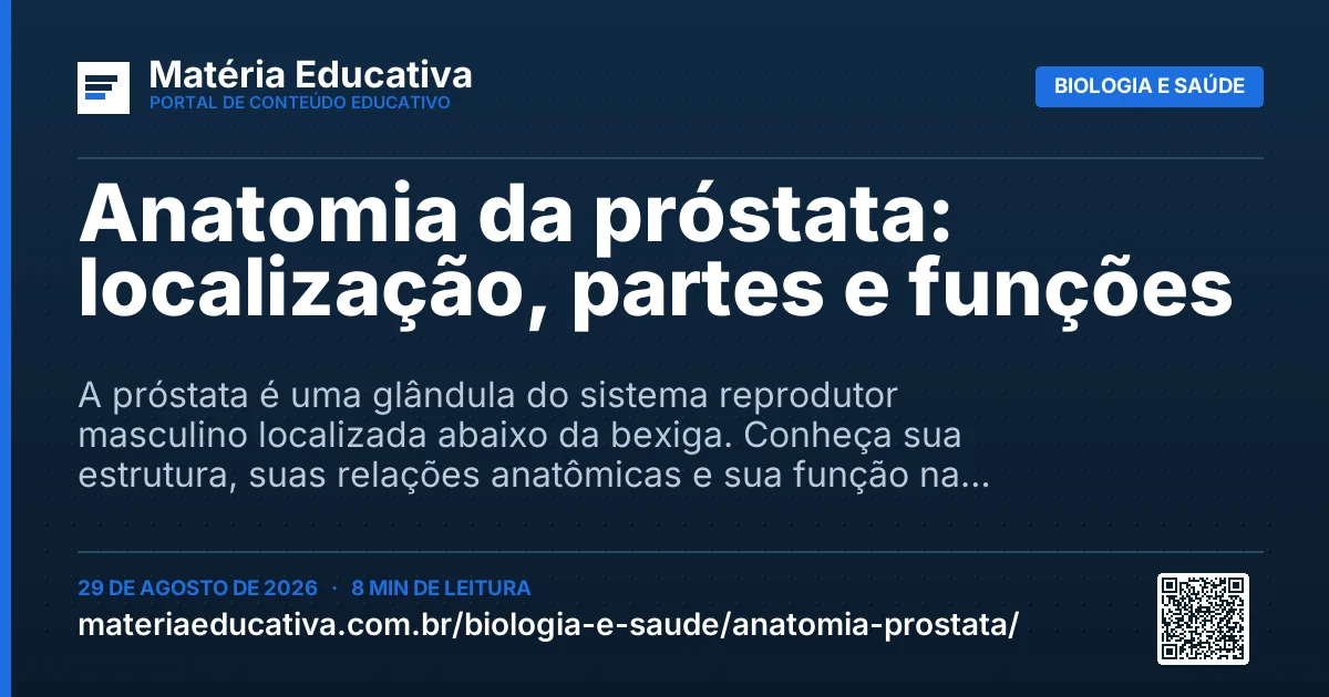 Resumo visual: Anatomia da próstata: localização, partes e funções