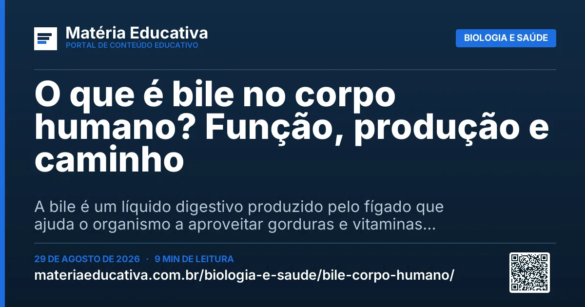 Resumo visual: O que é bile no corpo humano? Função, produção e caminho