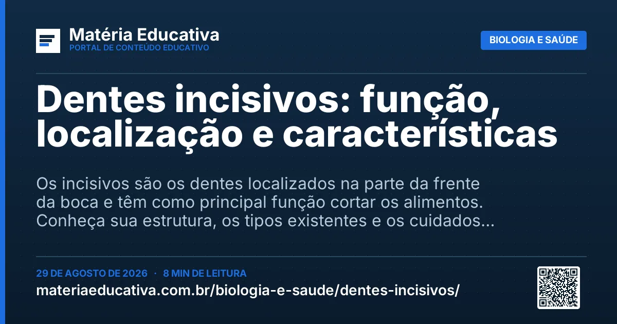 Resumo visual: Dentes incisivos: função, localização e características