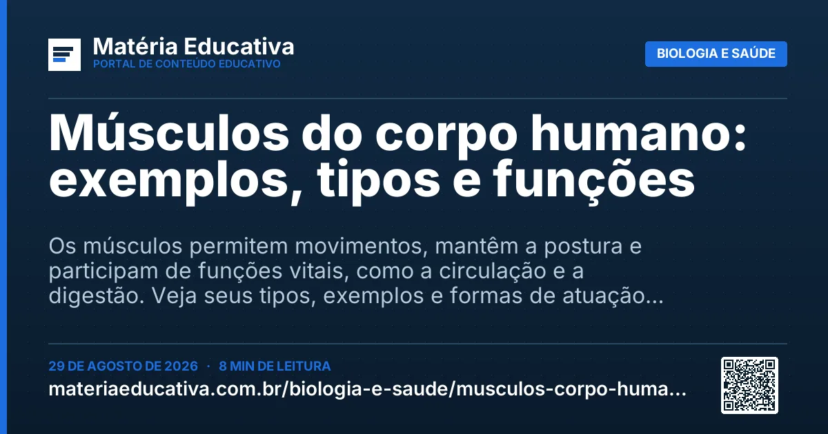 Resumo visual: Músculos do corpo humano: exemplos, tipos e funções