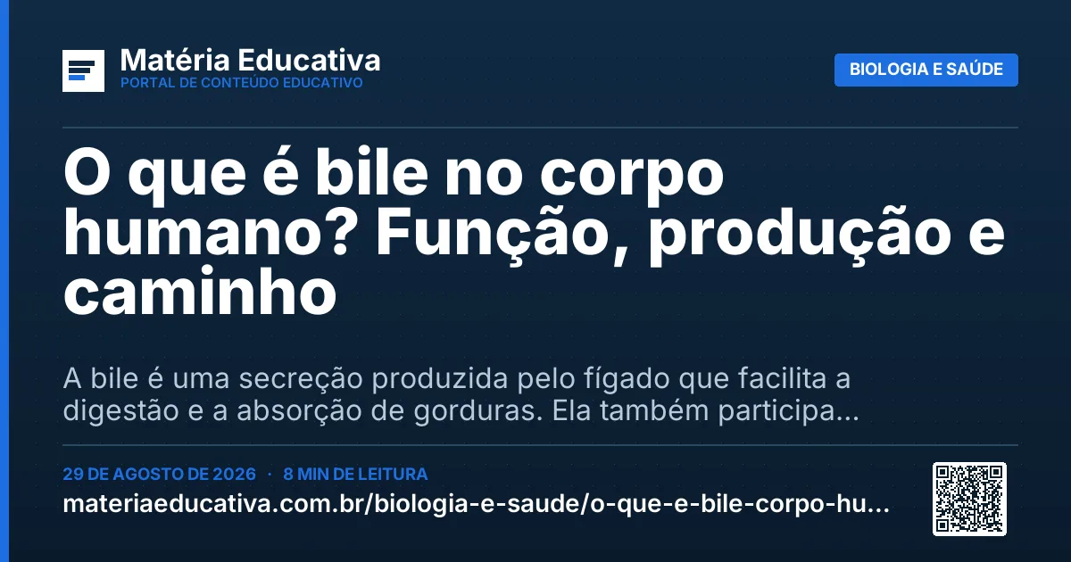 Resumo visual: O que é bile no corpo humano? Função, produção e caminho