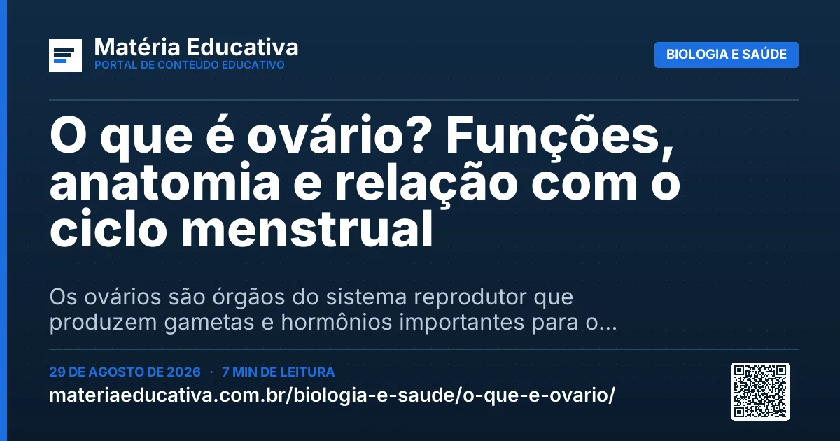 Resumo visual: O que é ovário? Funções, anatomia e relação com o ciclo menstrual