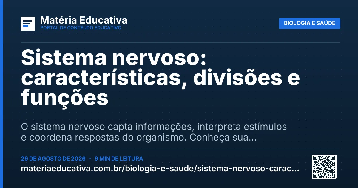 Resumo visual: Sistema nervoso: características, divisões e funções