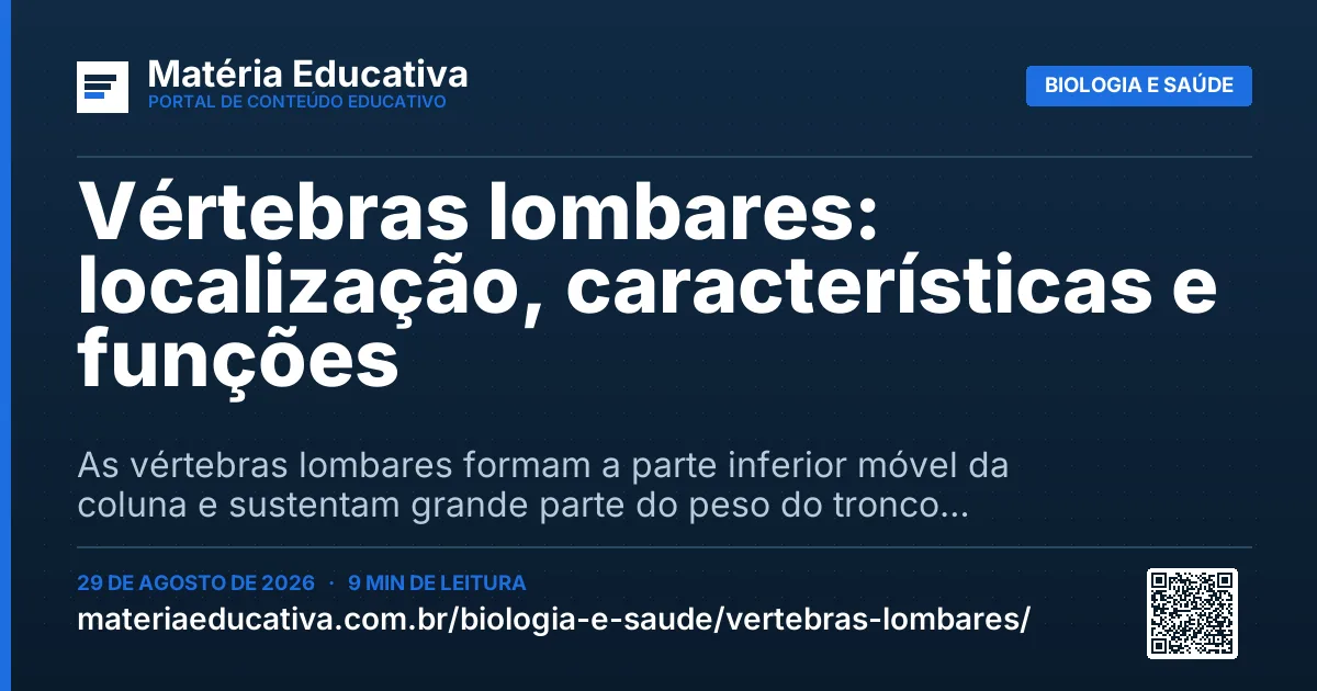 Resumo visual: Vértebras lombares: localização, características e funções
