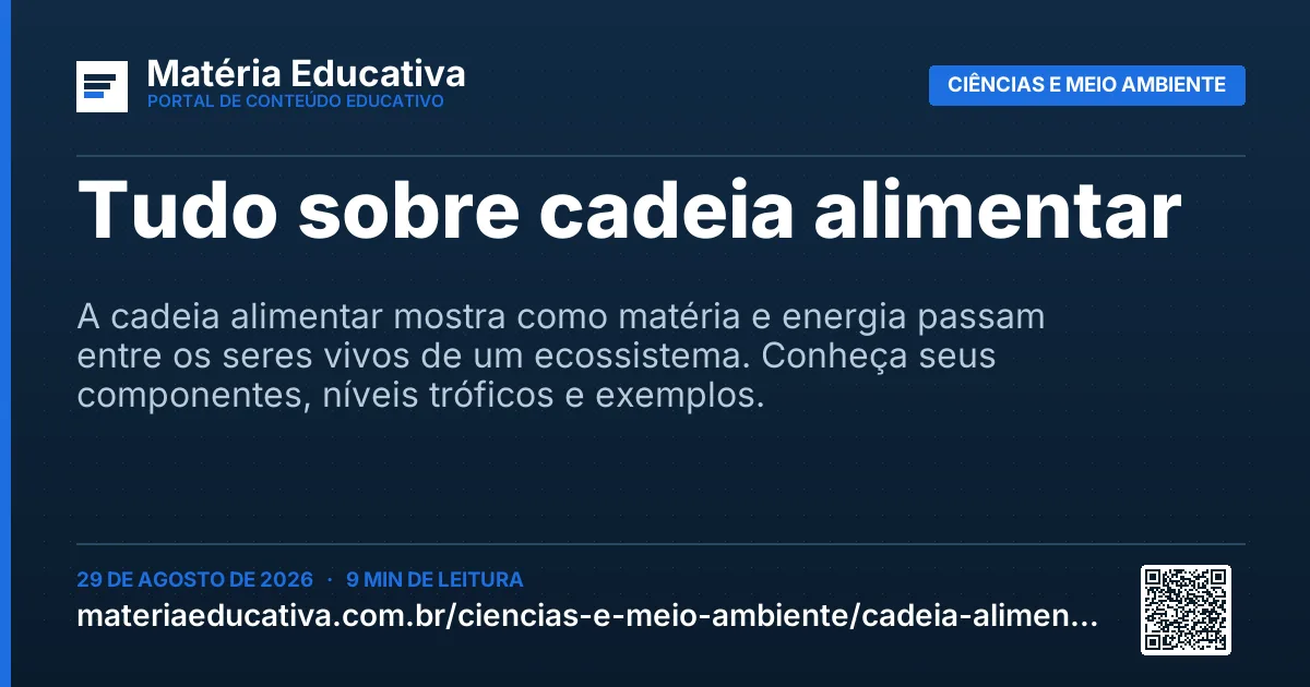 Resumo visual: Tudo sobre cadeia alimentar