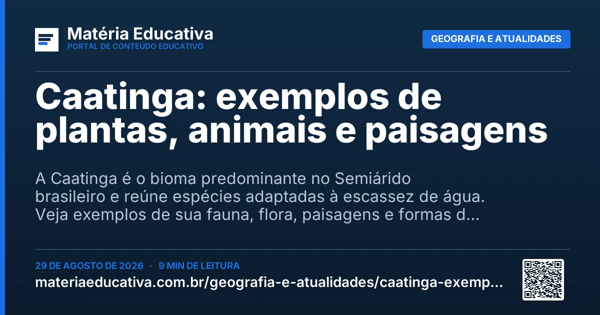 Resumo visual: Caatinga: exemplos de plantas, animais e paisagens